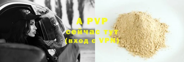 хмурый Нефтекумск