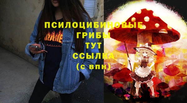 хмурый Нефтекумск