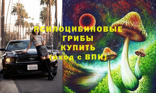 гашик Нефтегорск