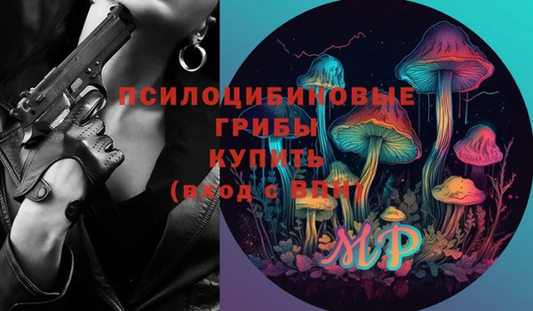 хмурый Нефтекумск