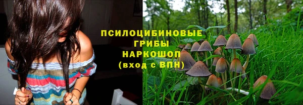 гидра Нея