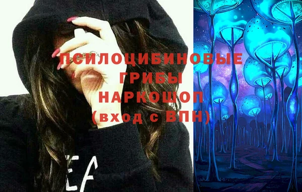 гидра Нея