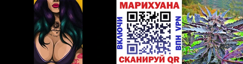 Купить где Анива Канабис MAZAR